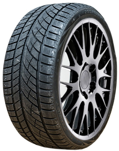 215/55R18 99H RoadX RXFrost WU01