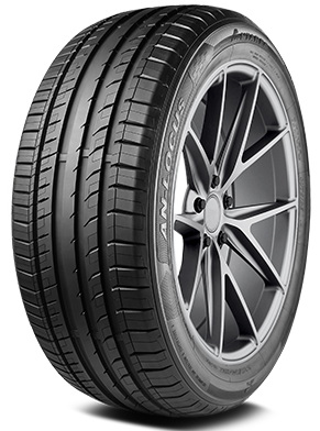 245/45R19 102W Antares Ingens-Locus