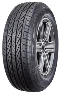 225/65R17 102H Roadking Argos H/T