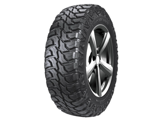 265/65R17 120/117N Double Star T01 