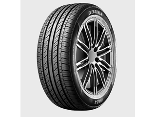 165/65 R14 79T Evergreen EH 23 