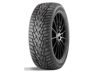 225/60R17 99T Double Star DW01 