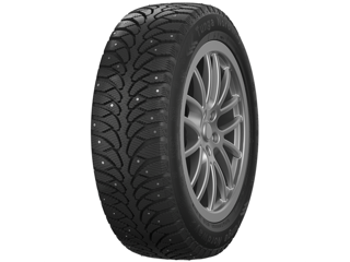 205/60R16 96Q Tunga Nordway 2 