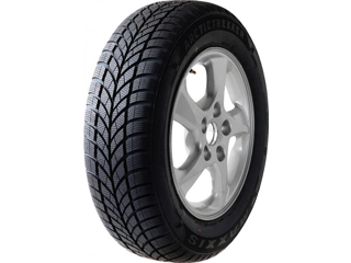 175/55R15 77T Maxxis WP-05 Arctic Trekker 