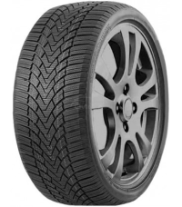 225/45 R19 96V Roadmarch WinterXPro 888 