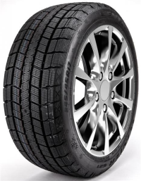 205/55R16 90T Centara WINTER RX621 