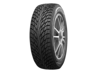 245/35R21 96R Nokian Tyres Hakkapeliitta R2 