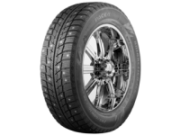 205/55 R16 91T Pace Antarctica Ice 